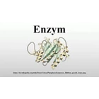 Eco enzym ( Enzyme ) Enzym Probiotic Probiotik 1