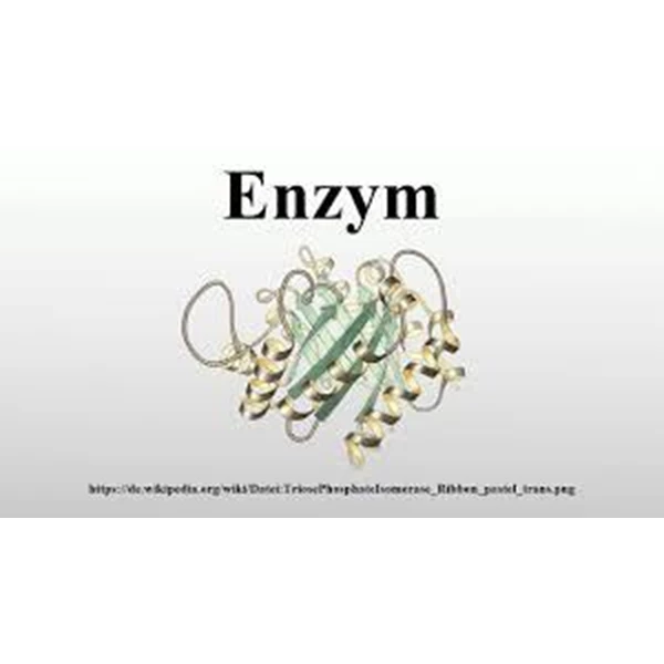 Eco enzym ( Enzyme ) Enzym Probiotic Probiotik