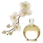 Fragrance / Parfum / Minyak wangi 1